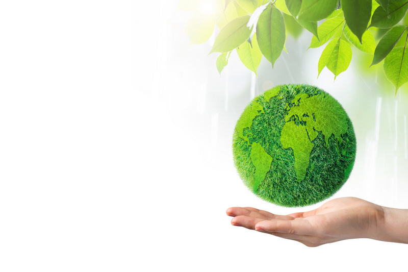 A hand holding a green earth with some green leaves